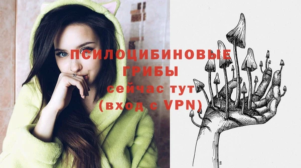 тгк Куйбышев